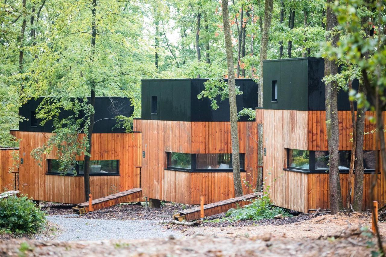 Forest Cube Oignies Dış mekan fotoğraf
