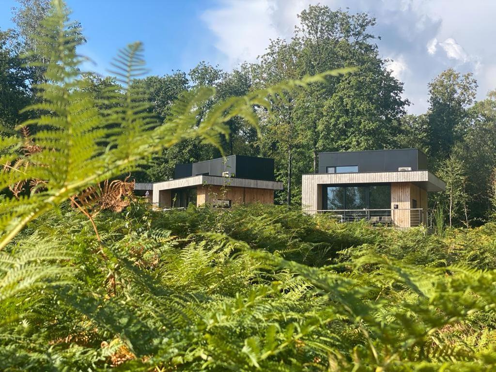 Forest Cube Oignies Dış mekan fotoğraf