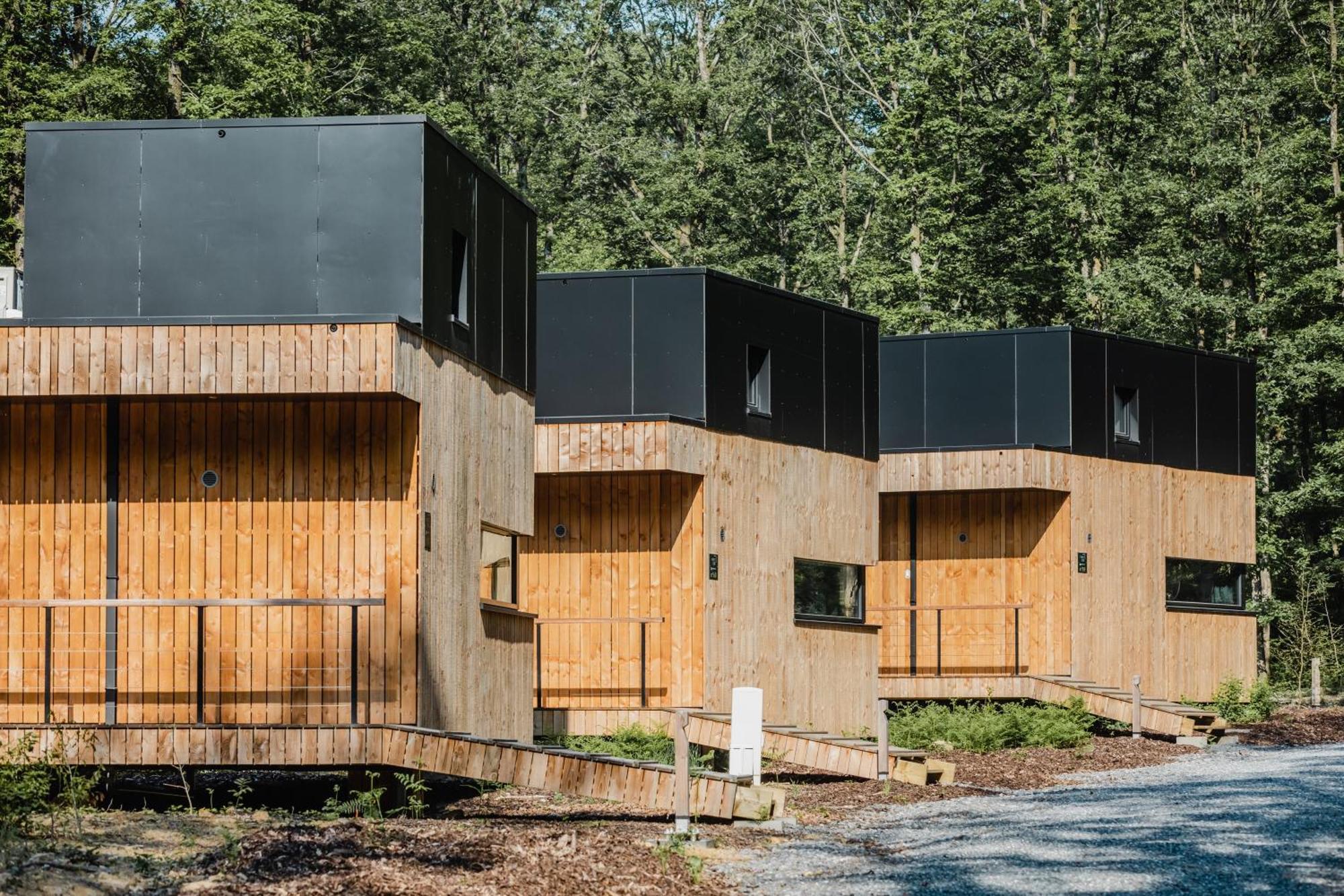 Forest Cube Oignies Dış mekan fotoğraf